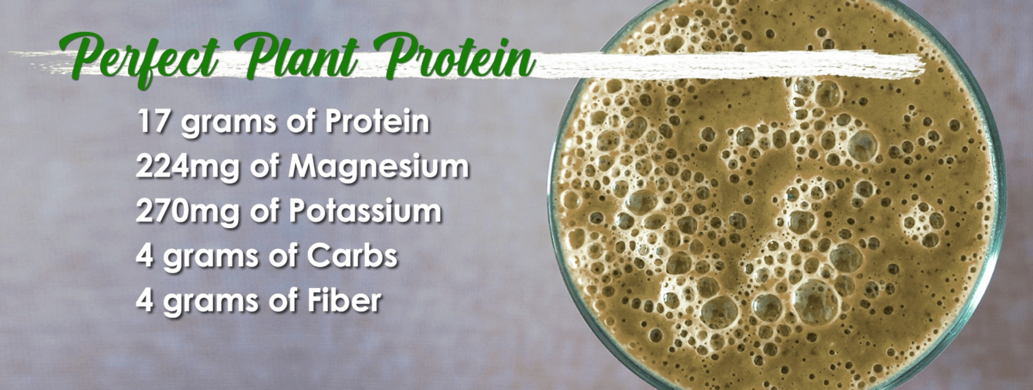 Perfect Plant Protein, a complete organic vegan protein powder.
