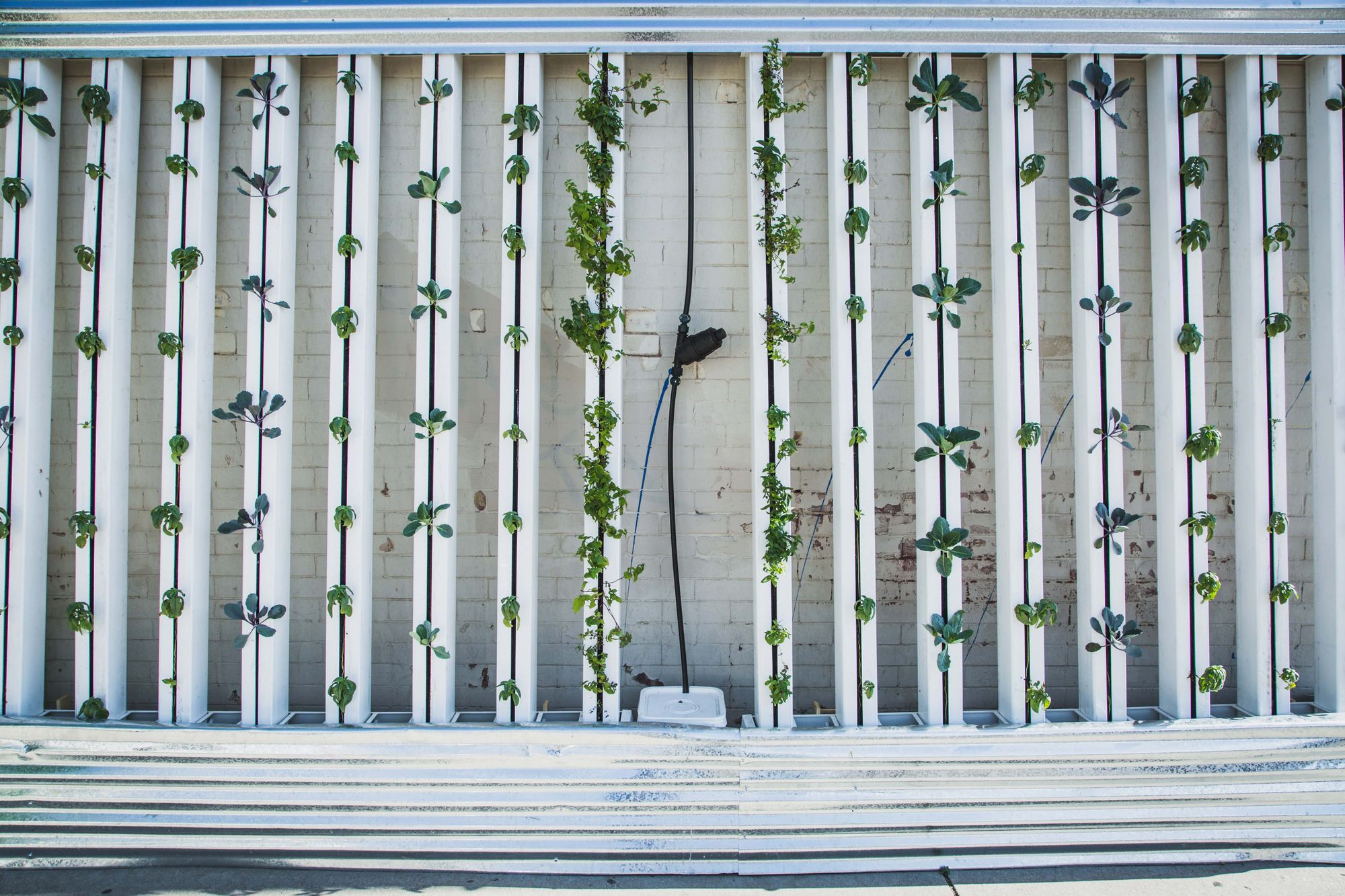 An example of a vertical hydroponic garden