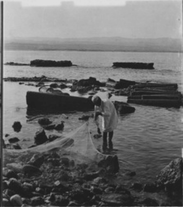 A fisherman out in the sea spreading his fishnets on the rocks of Tyre to dry.
