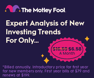 The Motley Fool